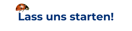 Text in blauer Schrift: "Lass uns starten!" mit einem Marienkäfer-Symbol.
